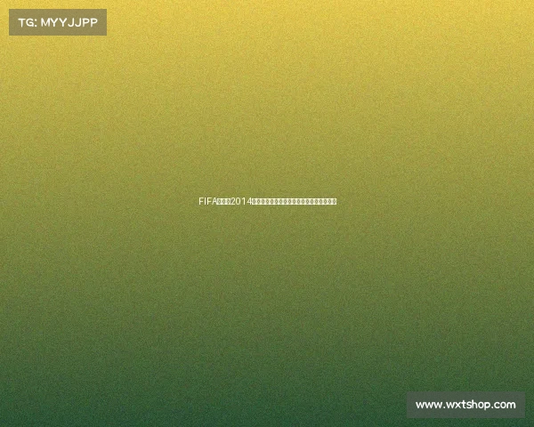 FIFA世界杯2014下载资源合集与经典比赛回顾高清完整版版